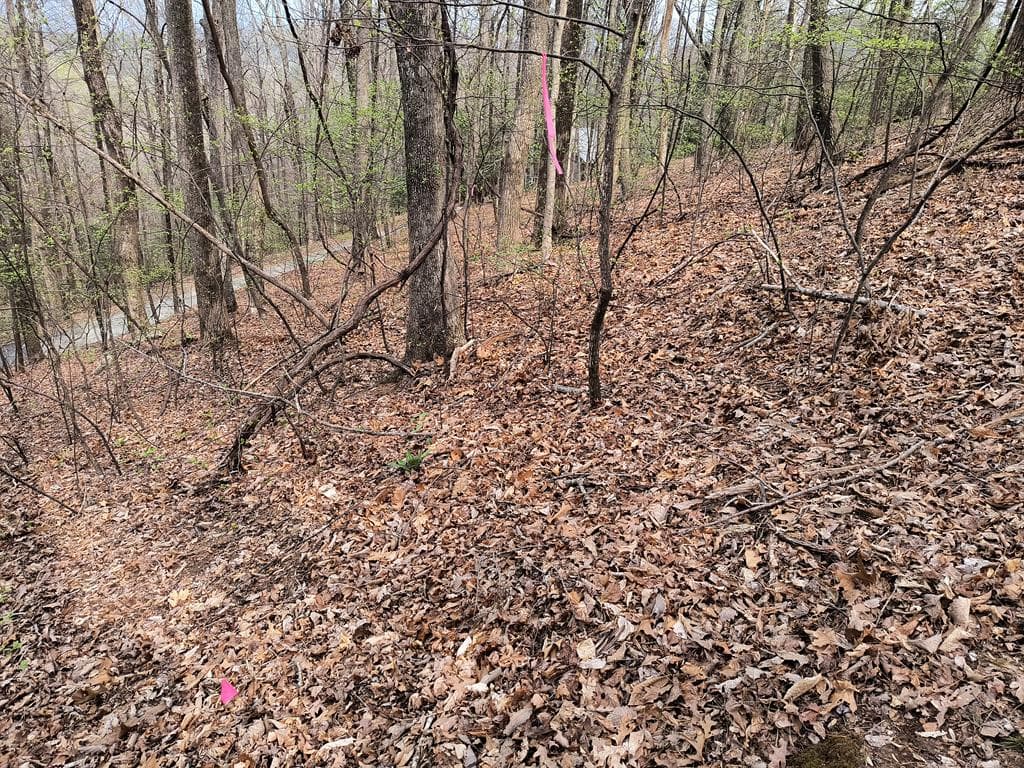 M99 Sleepy Hollow Road, Ellijay GA 30536 - Photo