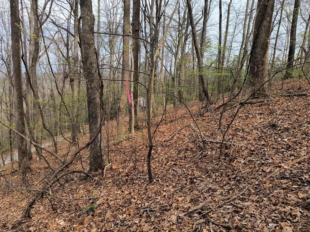 M99 Sleepy Hollow Road, Ellijay GA 30536 - Photo