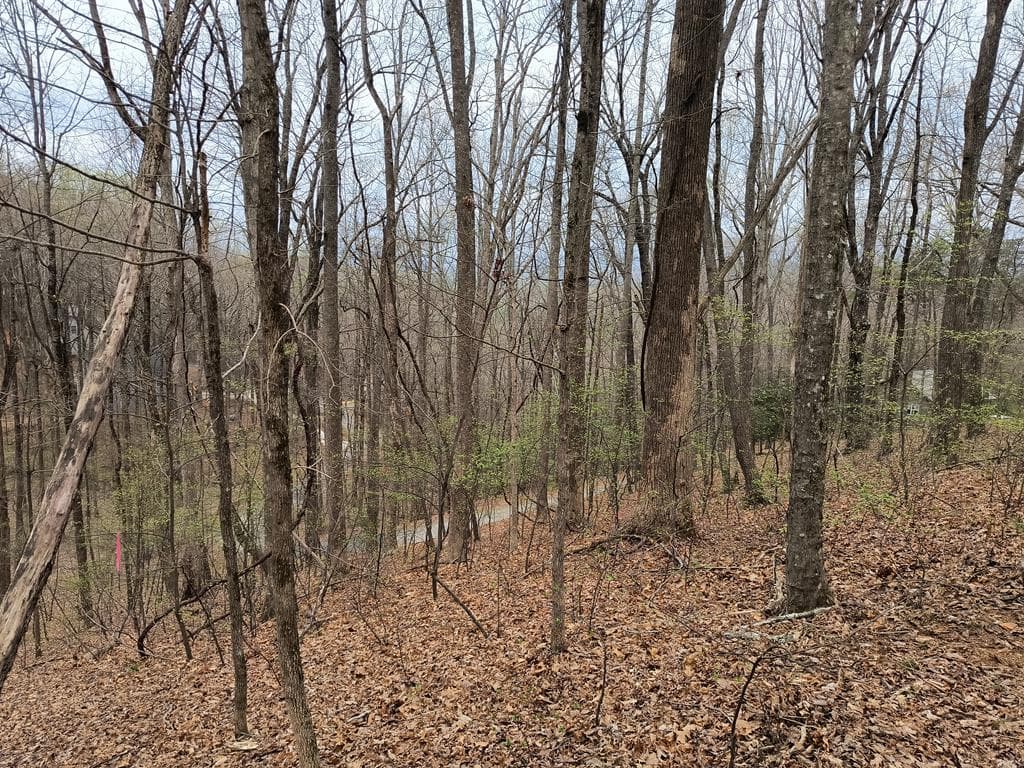 M99 Sleepy Hollow Road, Ellijay GA 30536 - Photo