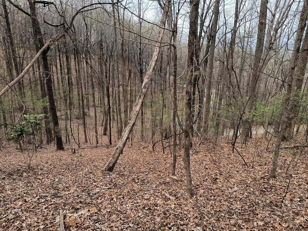M99 Sleepy Hollow Road, Ellijay GA 30536 - Primary photo