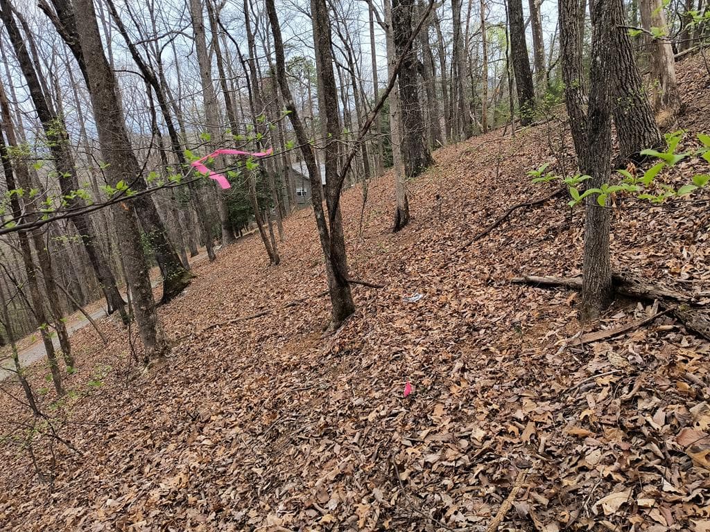 M99 Sleepy Hollow Road, Ellijay GA 30536 - Photo