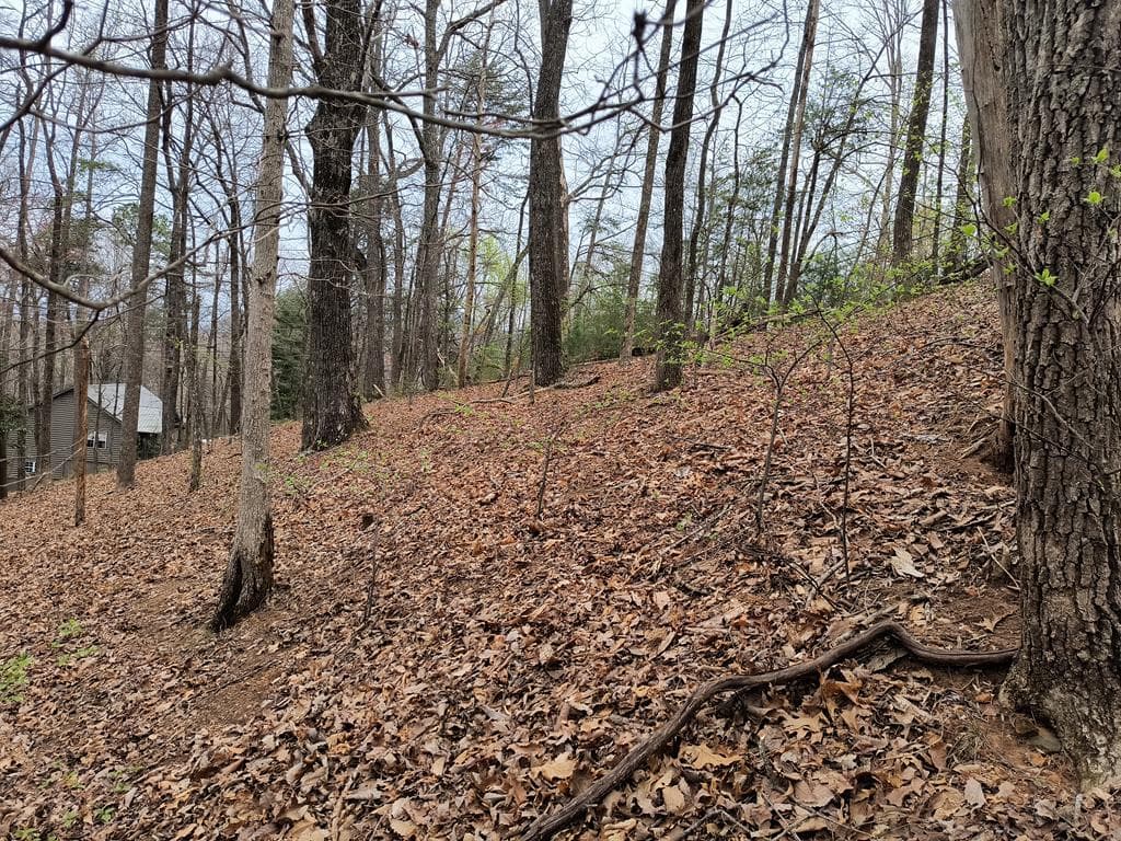 M99 Sleepy Hollow Road, Ellijay GA 30536 - Photo