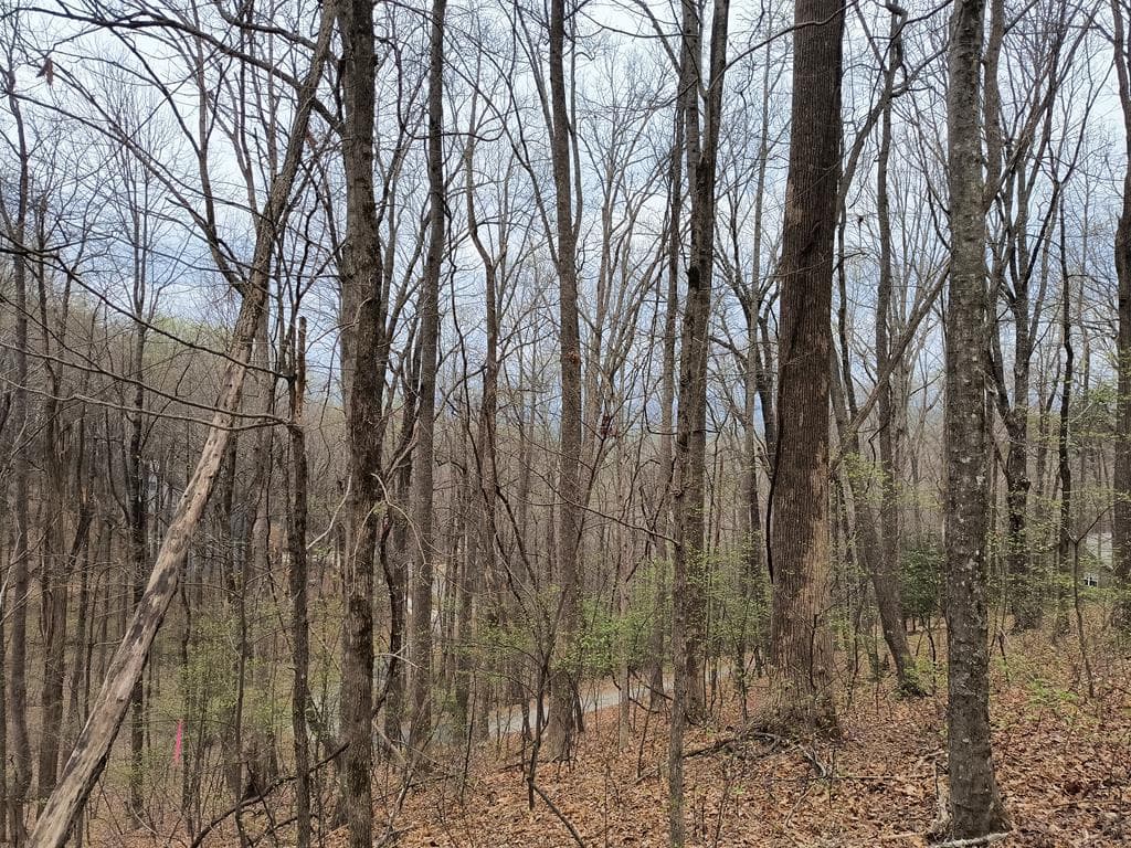 M99 Sleepy Hollow Road, Ellijay GA 30536 - Photo