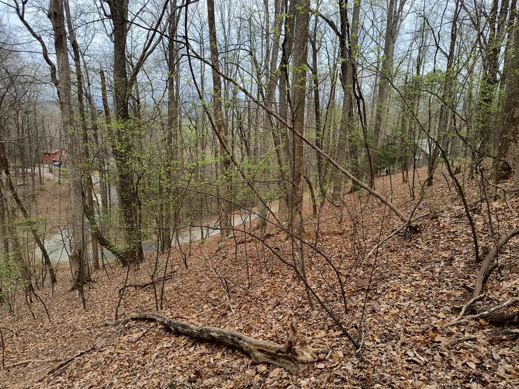 M99 Sleepy Hollow Road, Ellijay GA 30536 - Photo