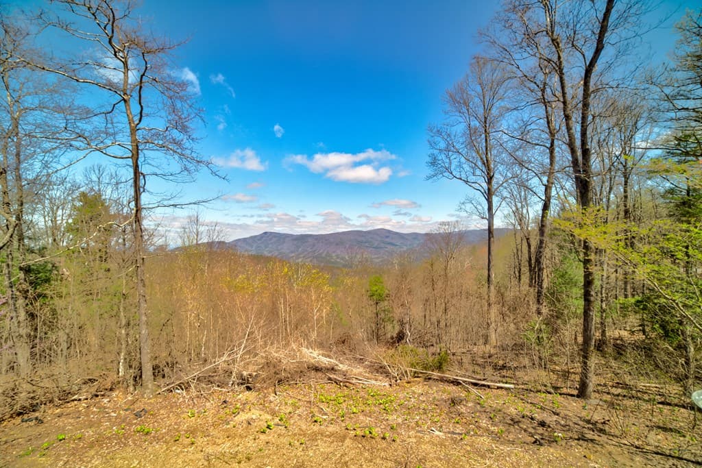 30 Hwy 52, Chatsworth GA 30705 - Photo