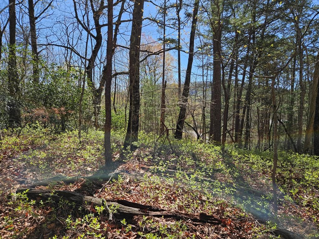 5.2 Deer Crest Road, Blue Ridge GA 30513 - Photo