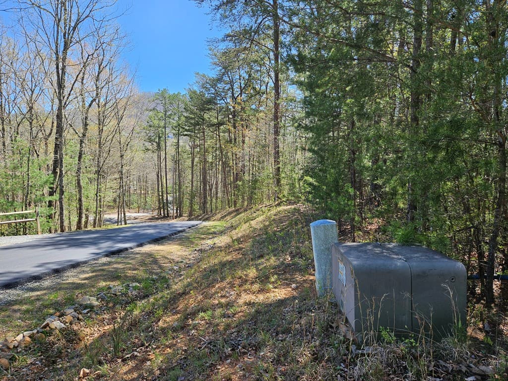 5.2 Deer Crest Road, Blue Ridge GA 30513 - Photo