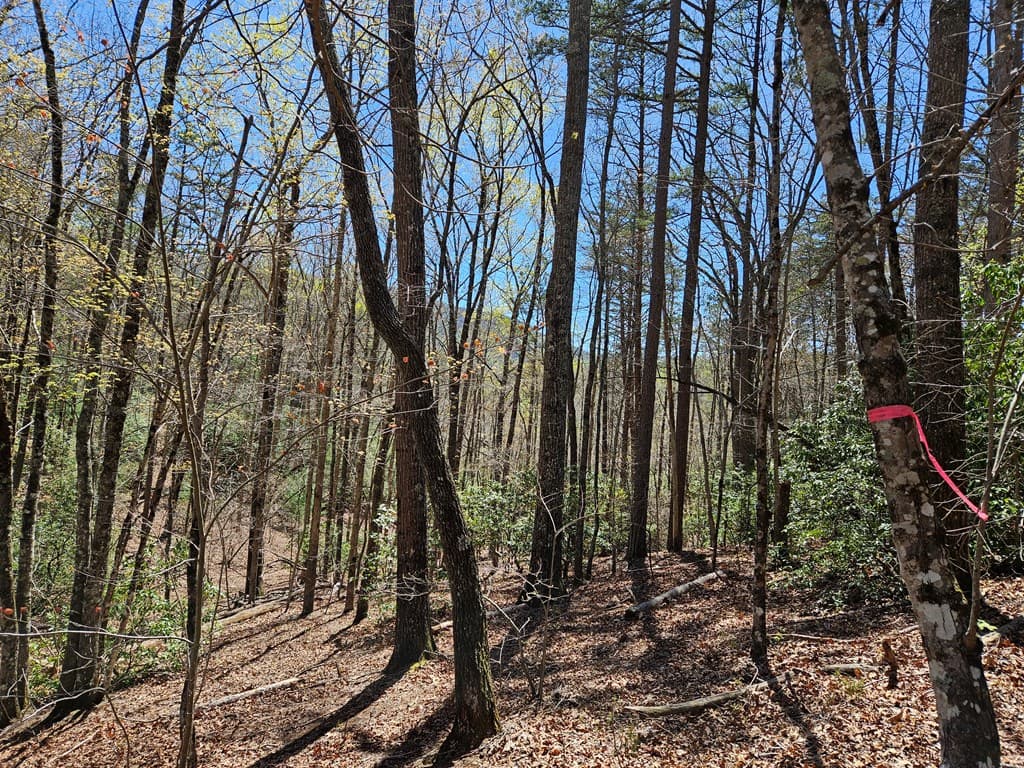 5.2 Deer Crest Road, Blue Ridge GA 30513 - Photo