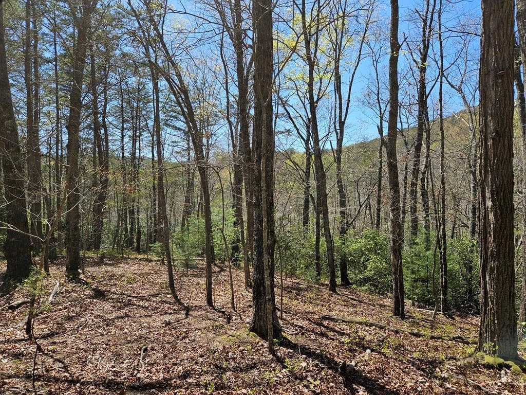 5.2 Deer Crest Road, Blue Ridge GA 30513 - Photo