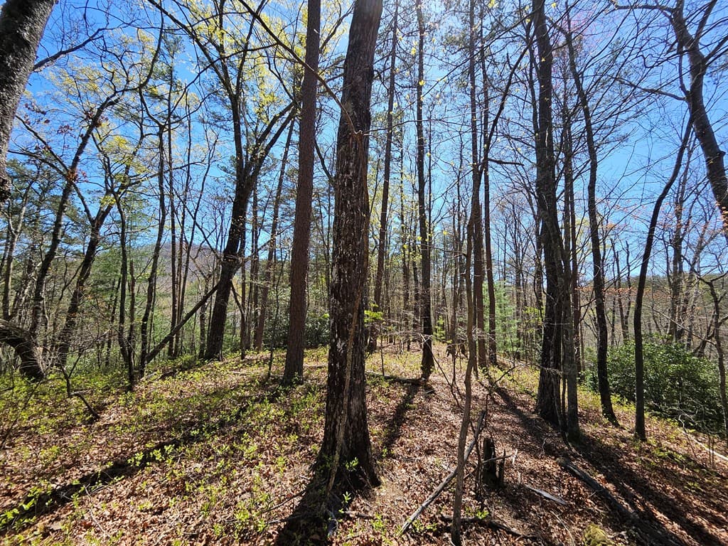 5.2 Deer Crest Road, Blue Ridge GA 30513 - Photo