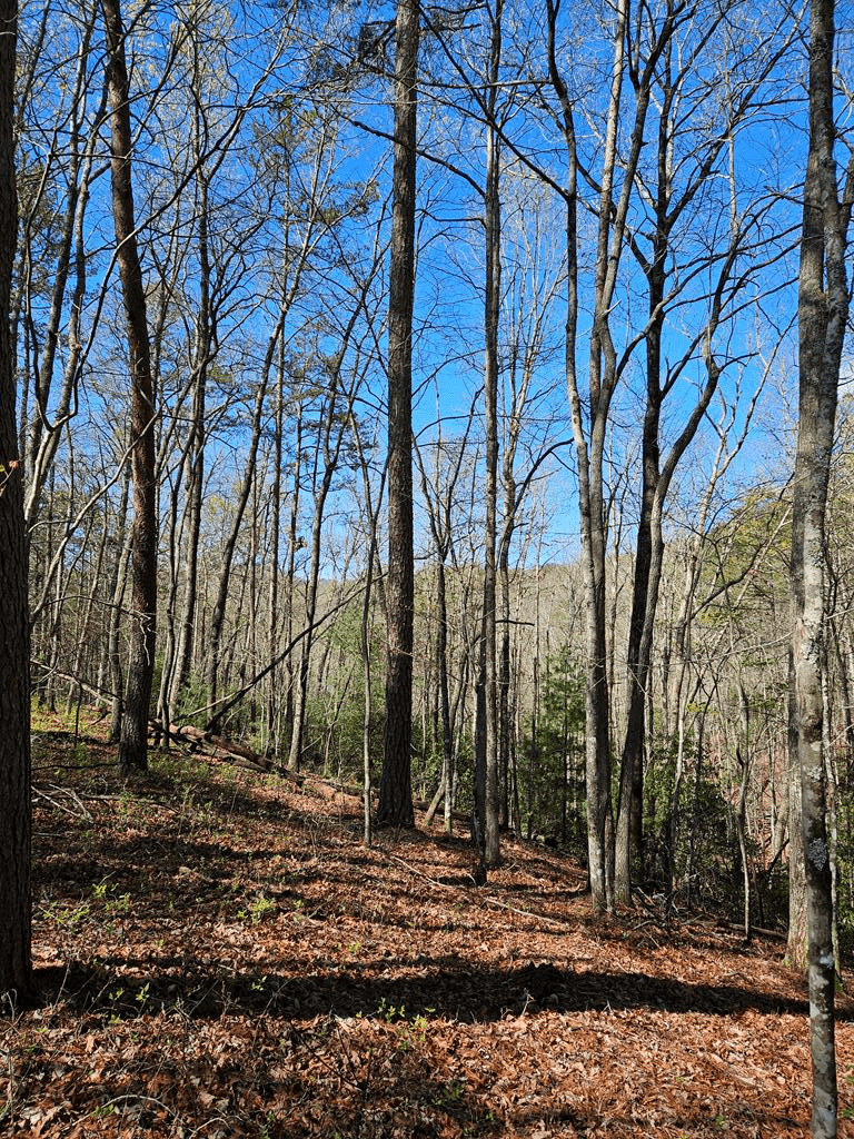 5.2 Deer Crest Road, Blue Ridge GA 30513 - Photo
