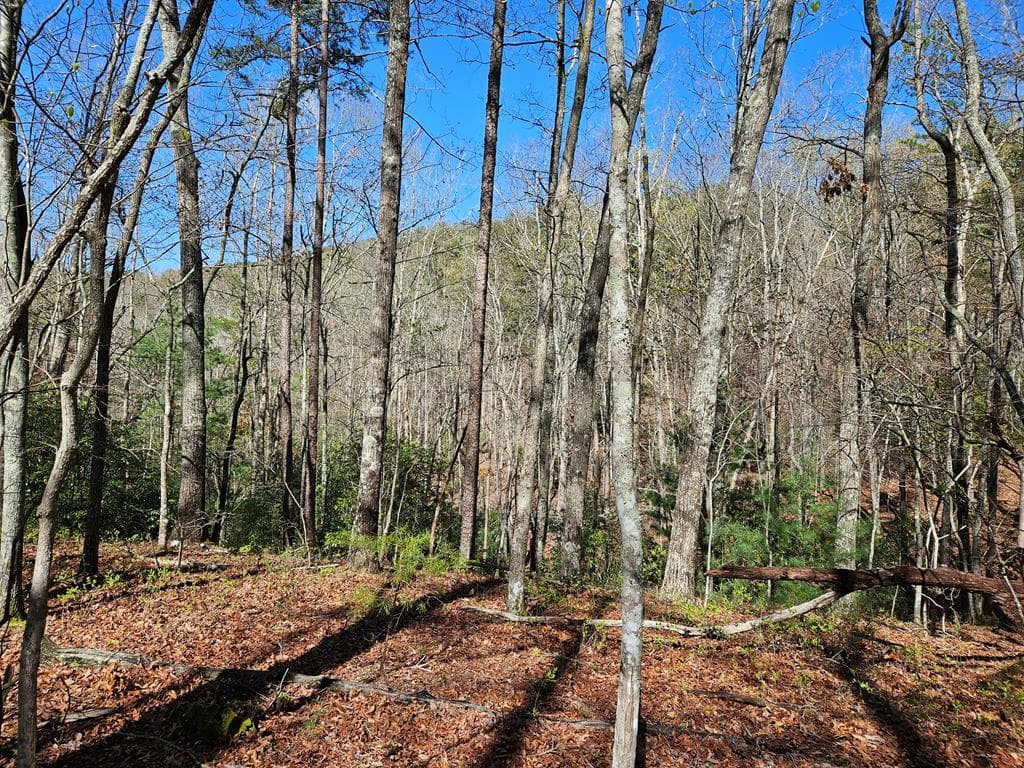 5.2 Deer Crest Road, Blue Ridge GA 30513 - Photo