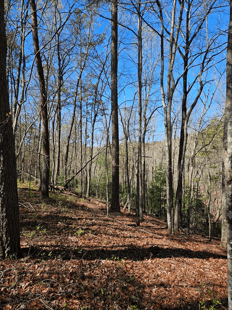 5.2 Deer Crest Road, Blue Ridge GA 30513 - Photo