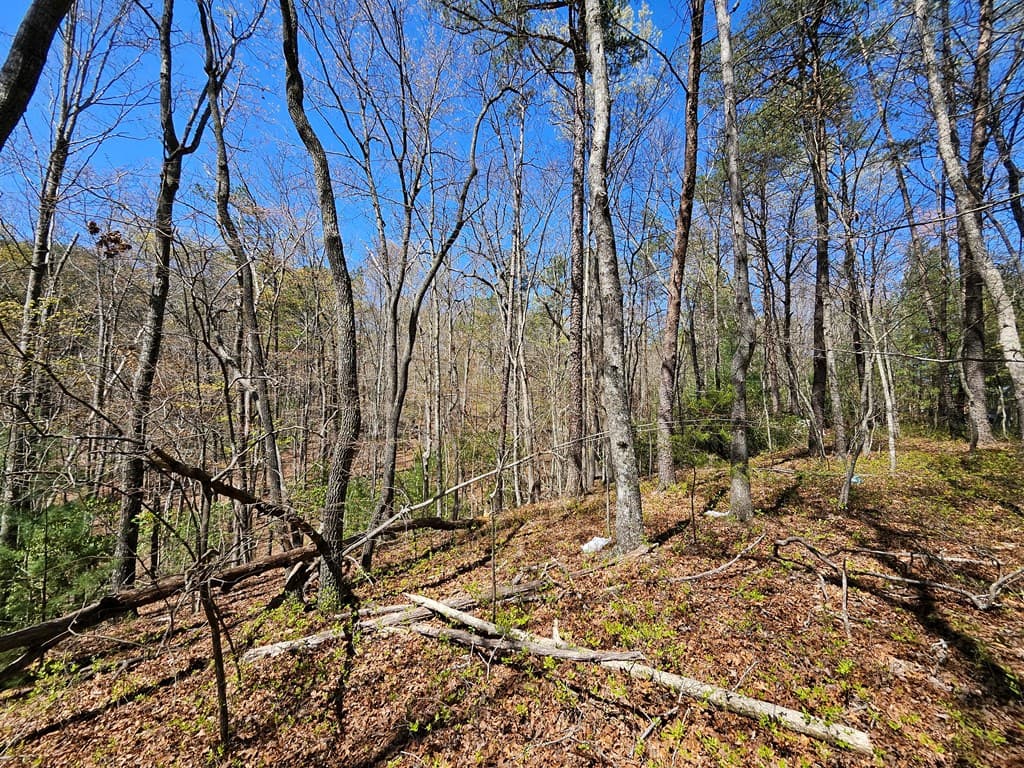 5.2 Deer Crest Road, Blue Ridge GA 30513 - Photo