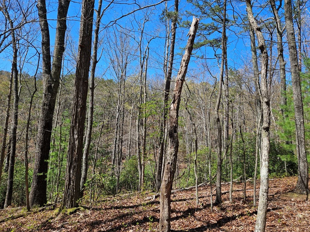 5.2 Deer Crest Road, Blue Ridge GA 30513 - Photo