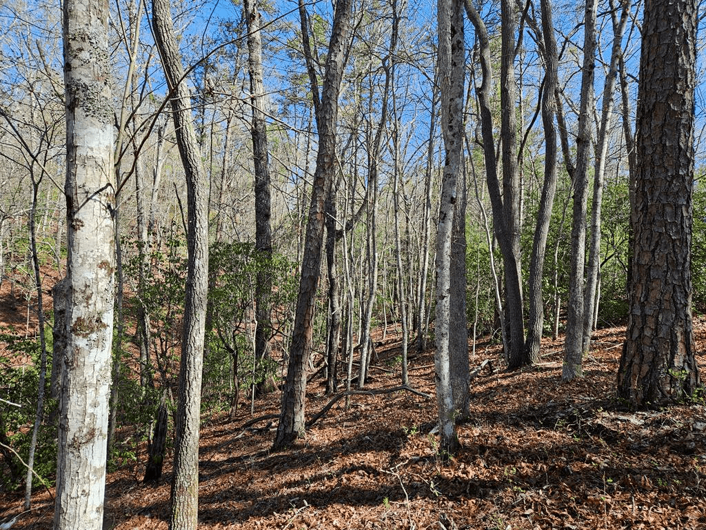 5.2 Deer Crest Road, Blue Ridge GA 30513 - Photo