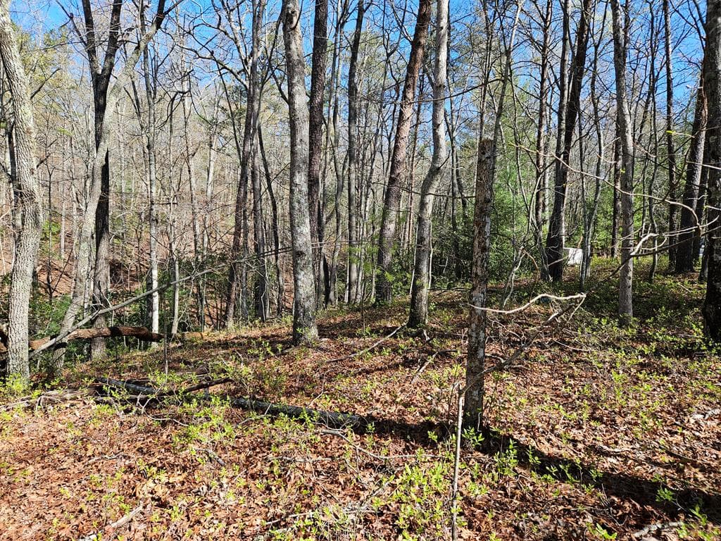 5.2 Deer Crest Road, Blue Ridge GA 30513 - Photo