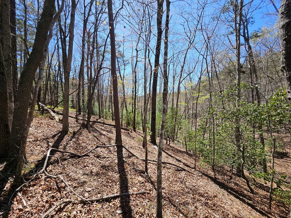5.2 Deer Crest Road, Blue Ridge GA 30513 - Photo