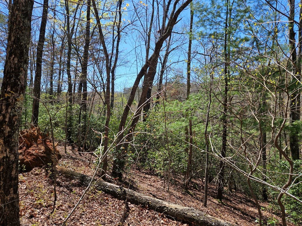 5.2 Deer Crest Road, Blue Ridge GA 30513 - Photo