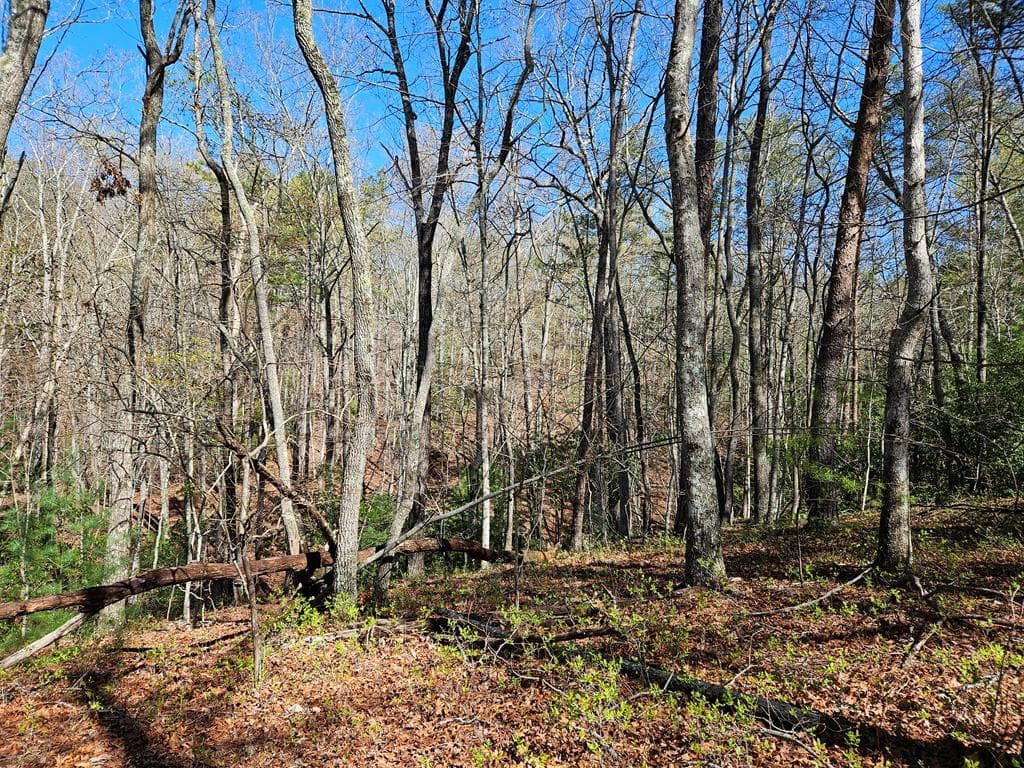 5.2 Deer Crest Road, Blue Ridge GA 30513 - Photo