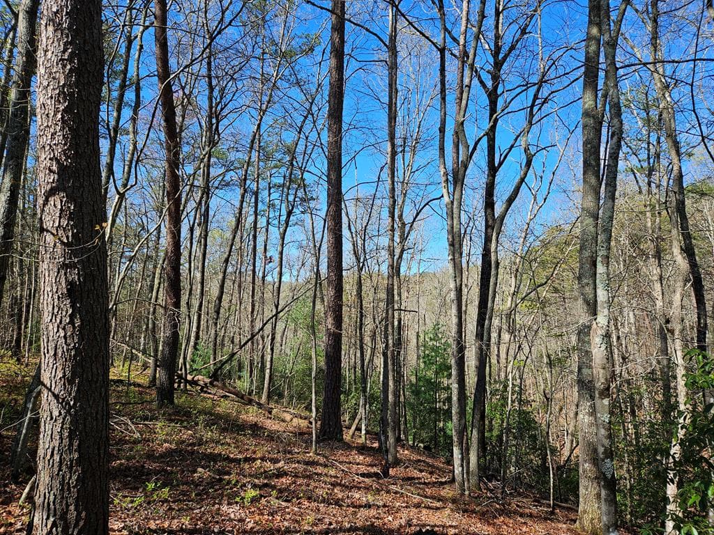 5.2 Deer Crest Road, Blue Ridge GA 30513 - Photo
