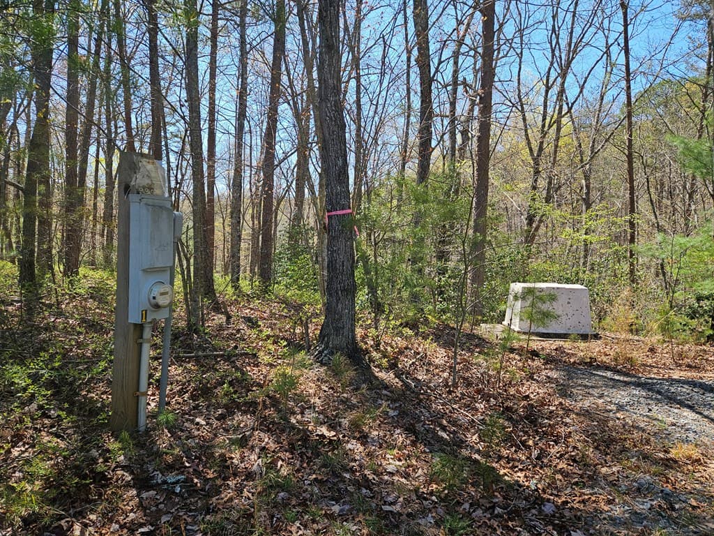 5.2 Deer Crest Road, Blue Ridge GA 30513 - Photo