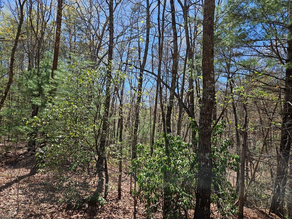 5.2 Deer Crest Road, Blue Ridge GA 30513 - Photo