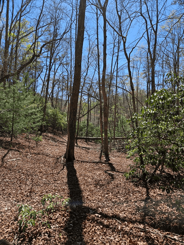 5.2 Deer Crest Road, Blue Ridge GA 30513 - Photo