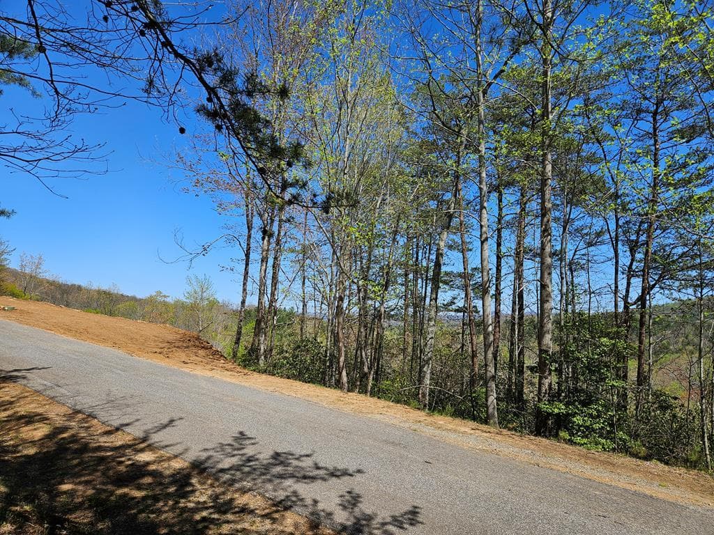 5.2 Deer Crest Road, Blue Ridge GA 30513 - Photo