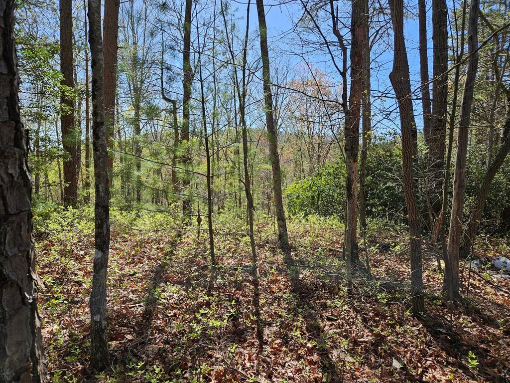 5.2 Deer Crest Road, Blue Ridge GA 30513 - Photo