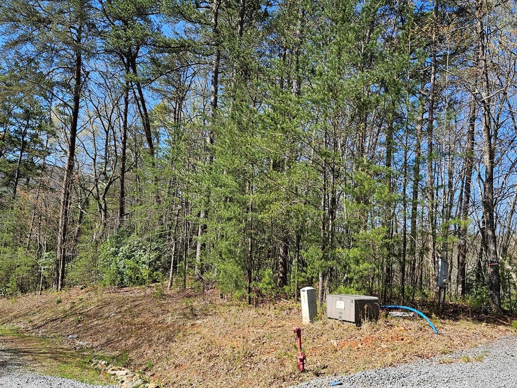 5.2 Deer Crest Road, Blue Ridge GA 30513 - Photo