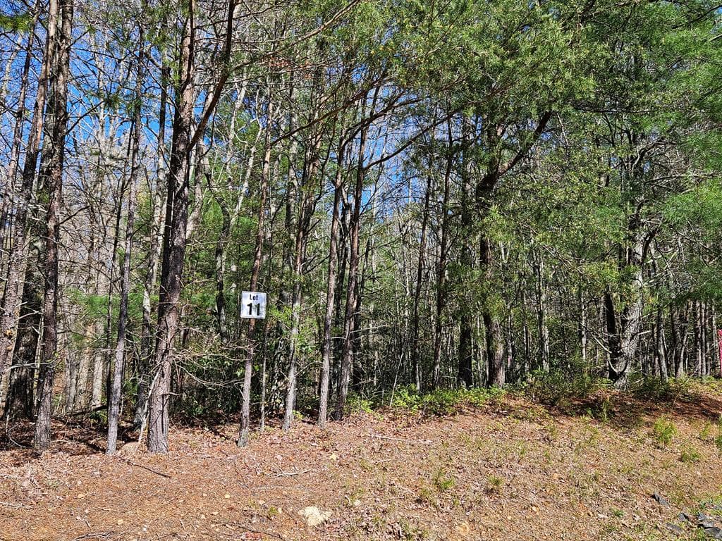5.2 Deer Crest Road, Blue Ridge GA 30513 - Photo