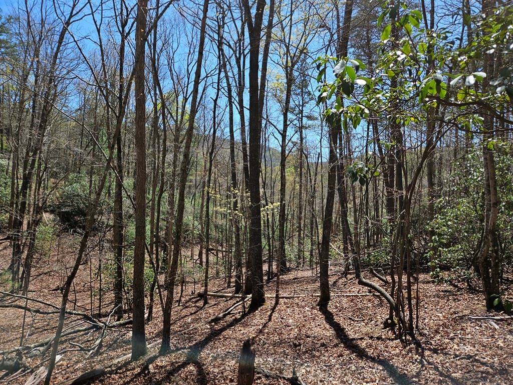 5.2 Deer Crest Road, Blue Ridge GA 30513 - Photo