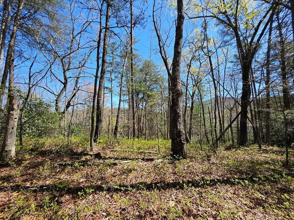 5.2 Deer Crest Road, Blue Ridge GA 30513 - Primary photo