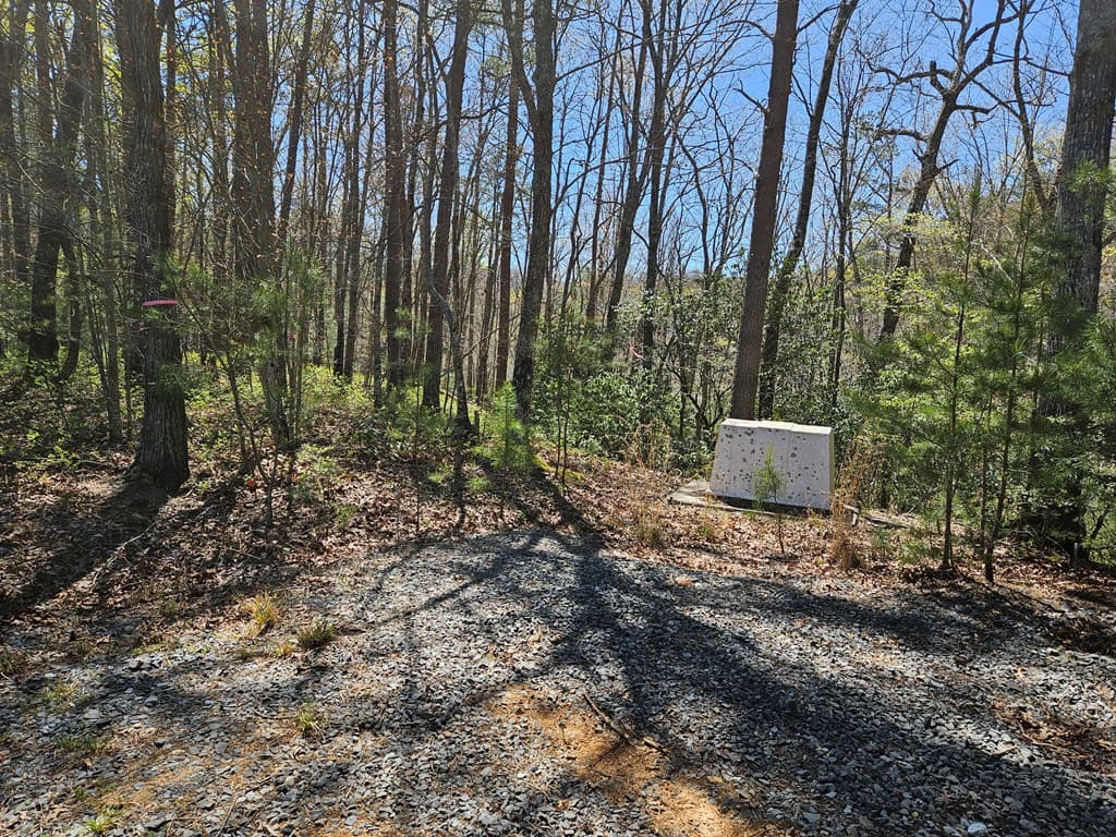 5.2 Deer Crest Road, Blue Ridge GA 30513 - Photo