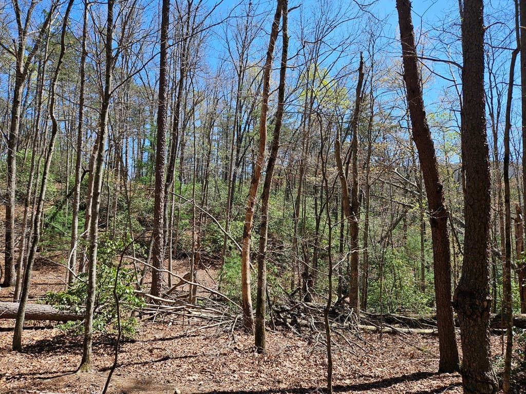 5.2 Deer Crest Road, Blue Ridge GA 30513 - Photo