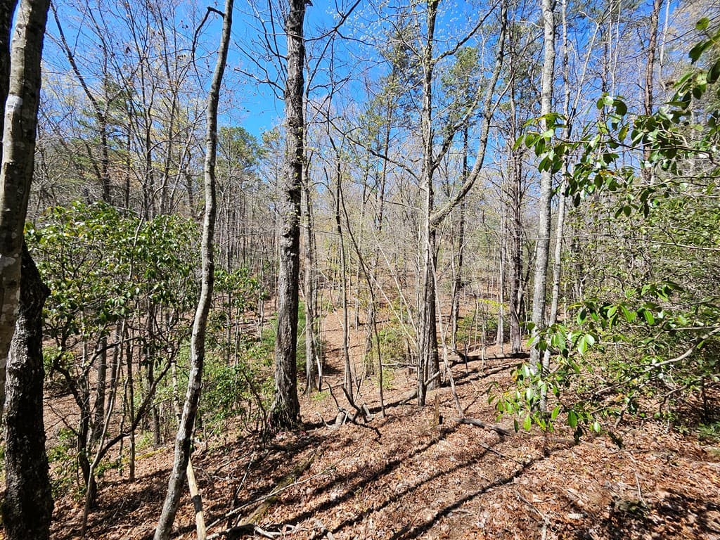 5.2 Deer Crest Road, Blue Ridge GA 30513 - Photo