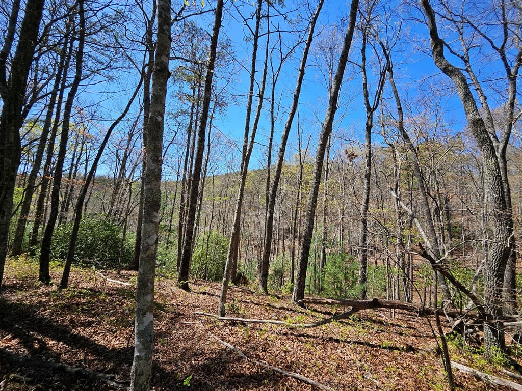 5.2 Deer Crest Road, Blue Ridge GA 30513 - Photo