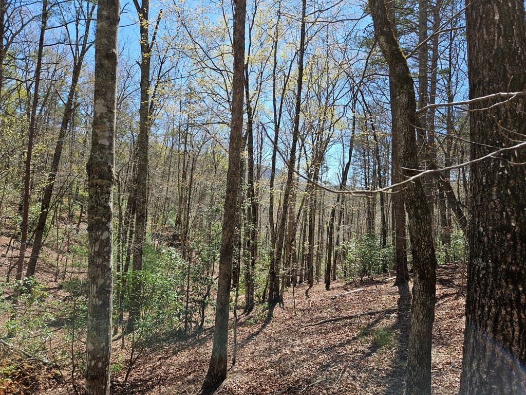5.2 Deer Crest Road, Blue Ridge GA 30513 - Photo