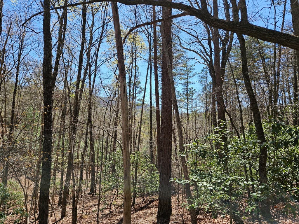 5.2 Deer Crest Road, Blue Ridge GA 30513 - Photo