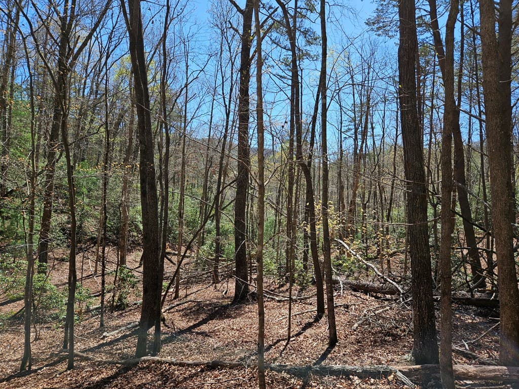 5.2 Deer Crest Road, Blue Ridge GA 30513 - Photo