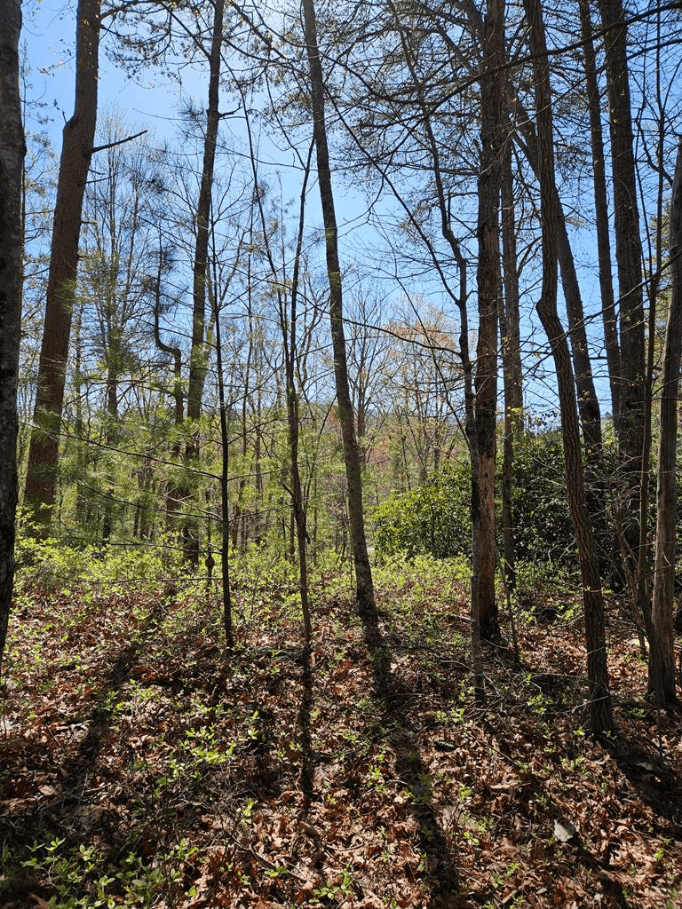 5.2 Deer Crest Road, Blue Ridge GA 30513 - Photo