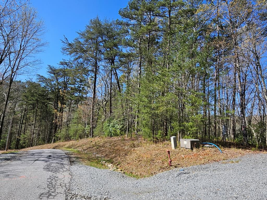 5.2 Deer Crest Road, Blue Ridge GA 30513 - Photo