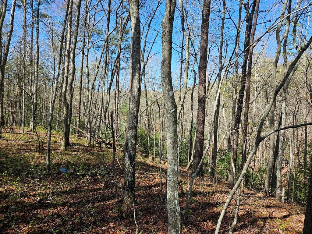 5.2 Deer Crest Road, Blue Ridge GA 30513 - Photo
