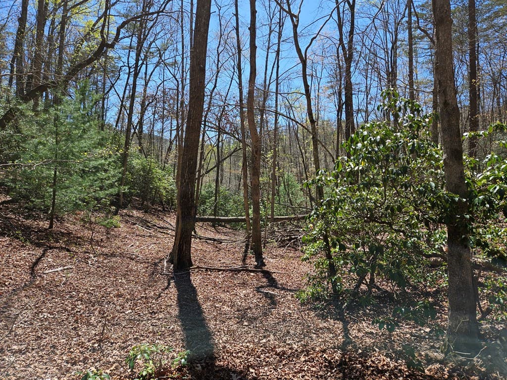 5.2 Deer Crest Road, Blue Ridge GA 30513 - Photo