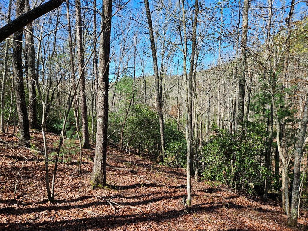 5.2 Deer Crest Road, Blue Ridge GA 30513 - Photo