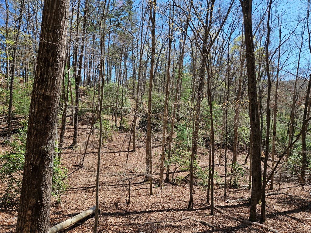 5.2 Deer Crest Road, Blue Ridge GA 30513 - Photo