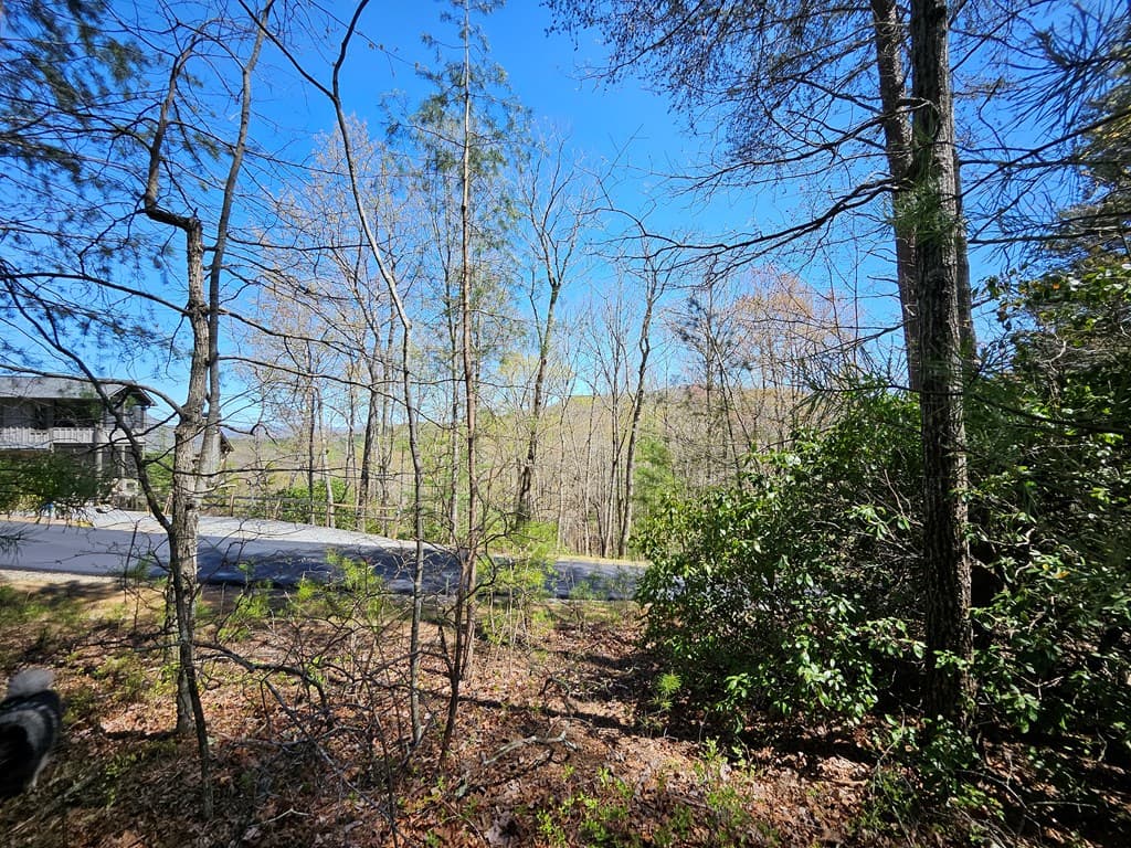 5.2 Deer Crest Road, Blue Ridge GA 30513 - Photo