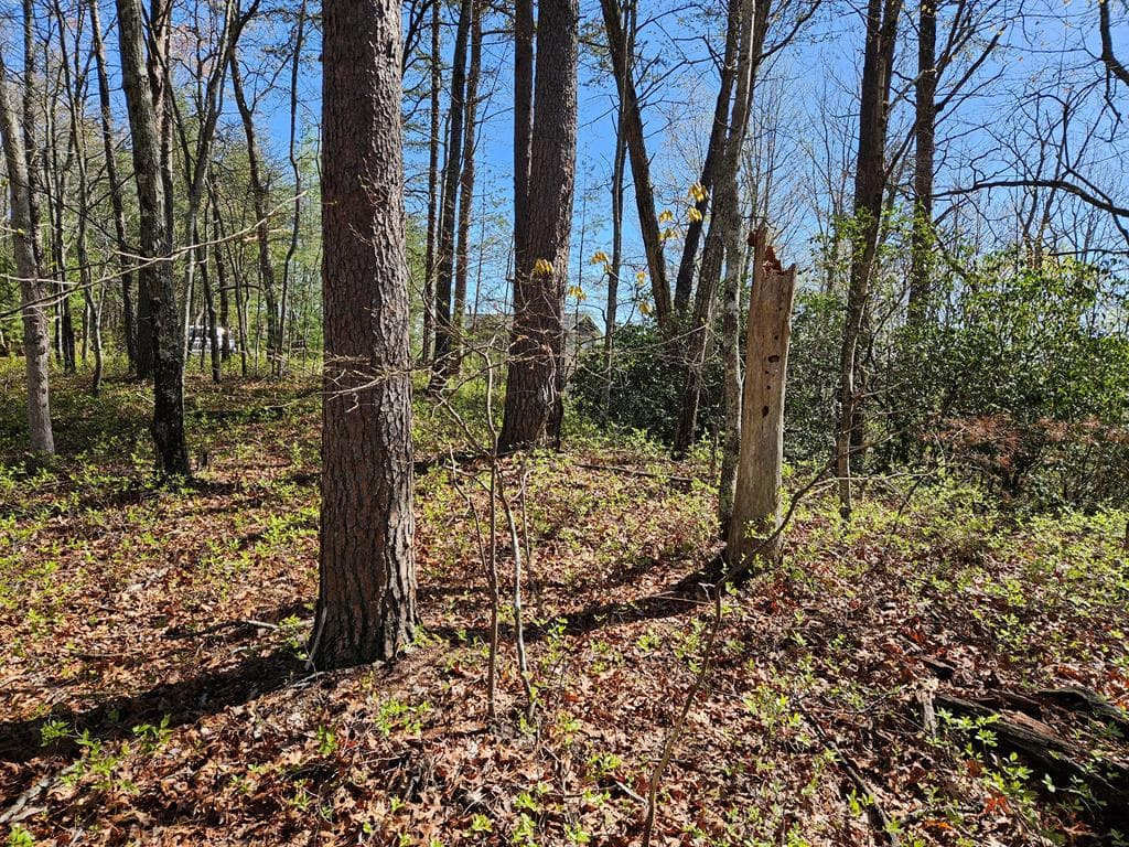 5.2 Deer Crest Road, Blue Ridge GA 30513 - Photo