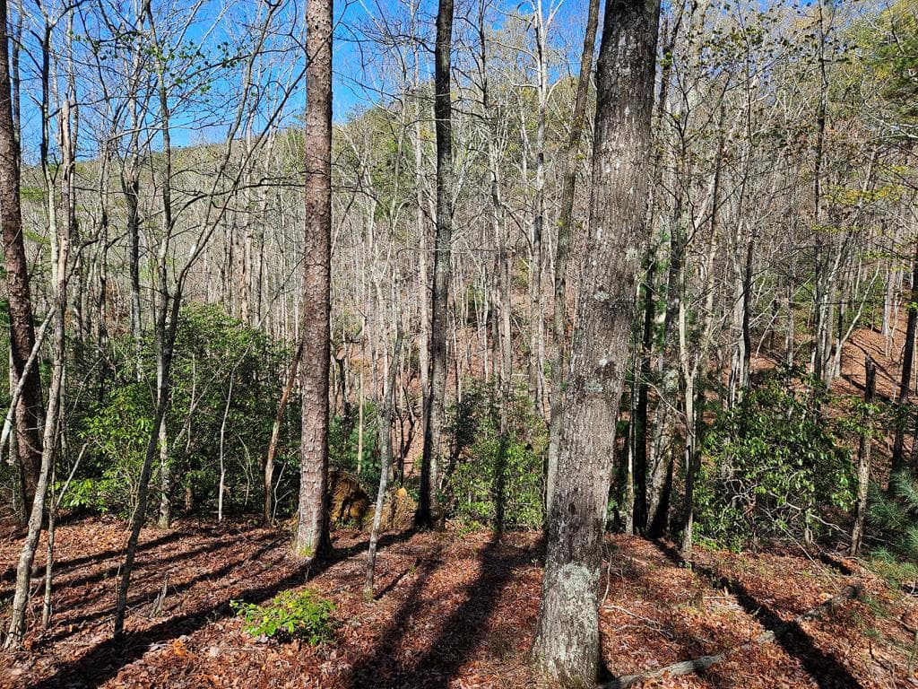 5.2 Deer Crest Road, Blue Ridge GA 30513 - Photo